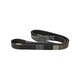 MULTIRIEM DAYCO 8PK1668HD